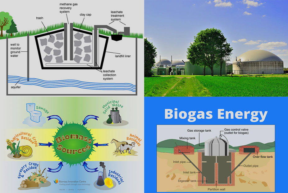 Biogas as a Fuel Source